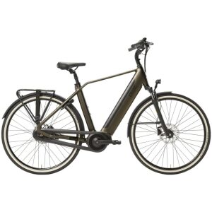 Qwic Premium I MN7+ Jet Black Heren