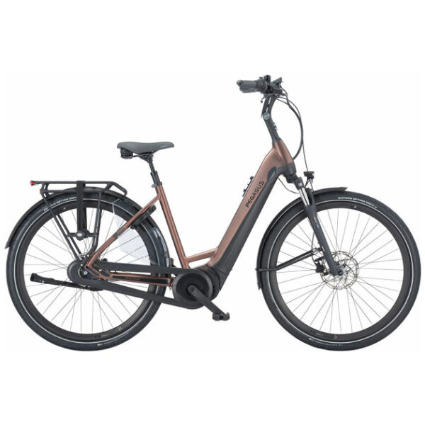 Pegasus Ravenna EVO 7F Disc NL Glas Cristall Drill Brown Matt Dames