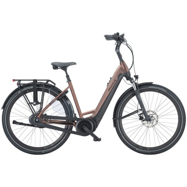 Pegasus Ravenna EVO 7F Disc NL Glas Cristall Drill Brown Matt Dames - Afbeelding 3