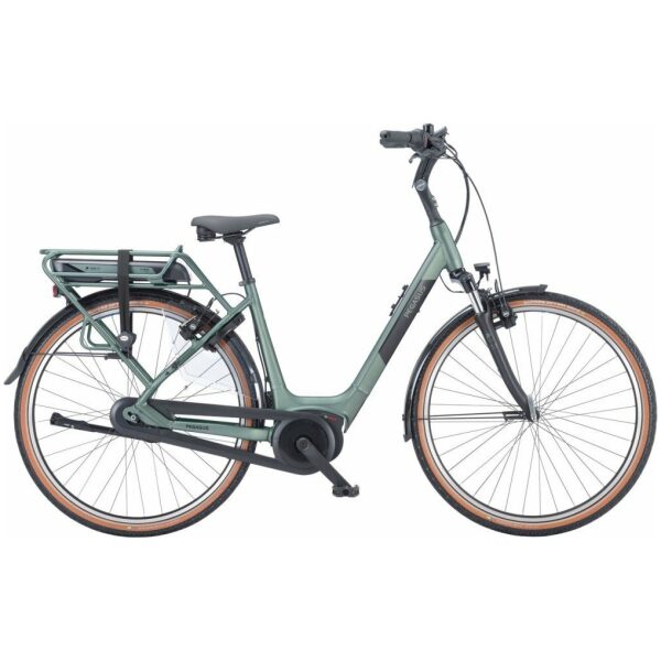 Pegasus Siena E7F NL Emerald Green Matt Lage instap
