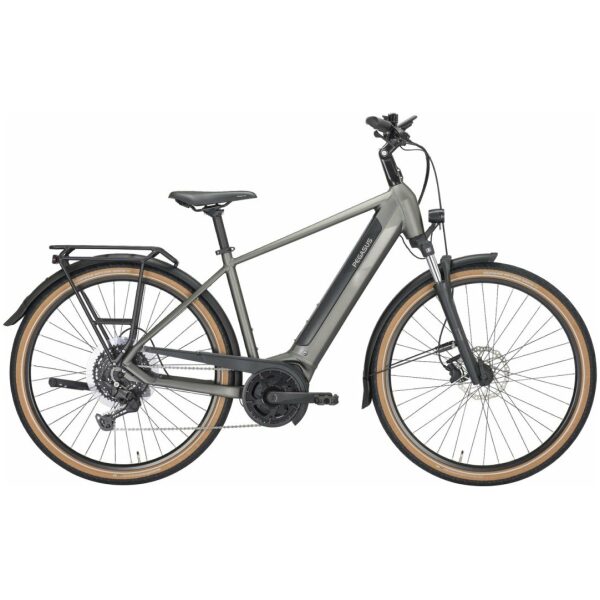 Pegasus SOLERO EVO 10 Metallic Aventurine Heren