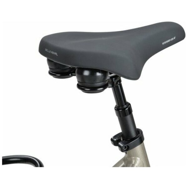 Batavus Finez E-Go Power Exclusiv Champagne Goud Glans Lage instap - Afbeelding 8