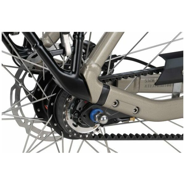 Batavus Finez E-Go Power Exclusiv Champagne Goud Glans Lage instap - Afbeelding 6