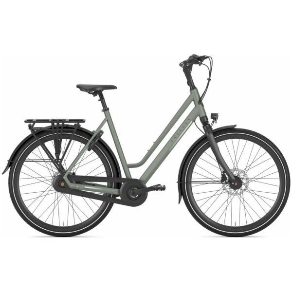 Gazelle Chamonix C8 Clay Green Mat DAMES - Afbeelding 3