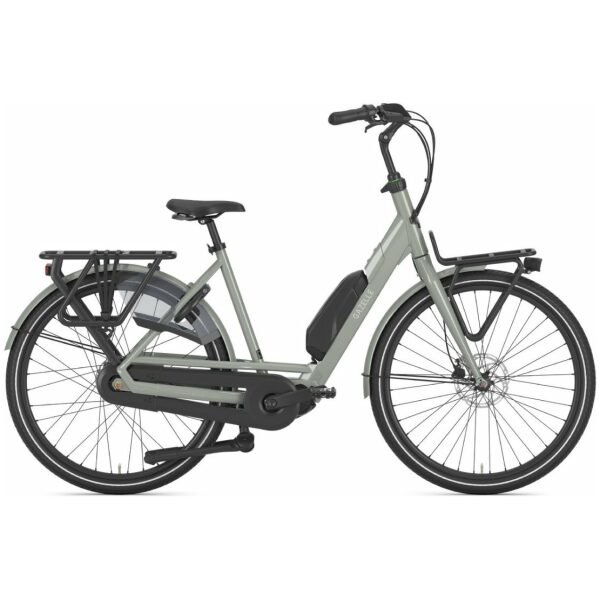 Gazelle Bloom C310 Clay Green Glans DAMES