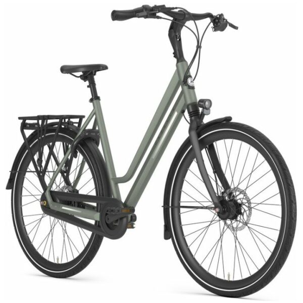 Gazelle Chamonix C8 Clay Green Mat DAMES - Afbeelding 4