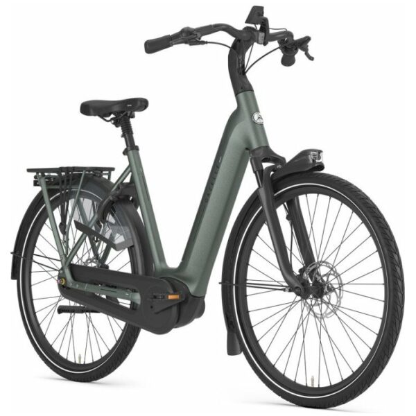 Gazelle Grenoble C8+ Twilight Green Mat Dames