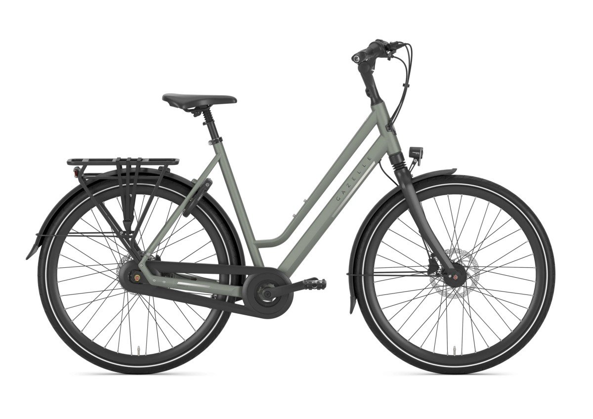 Gazelle Chamonix C8 Green Dames