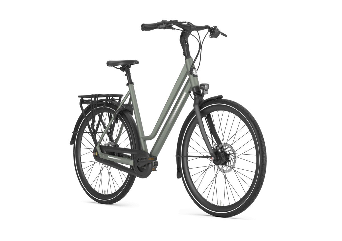 Gazelle Chamonix C8 Clay Green Mat Dames - Afbeelding 2