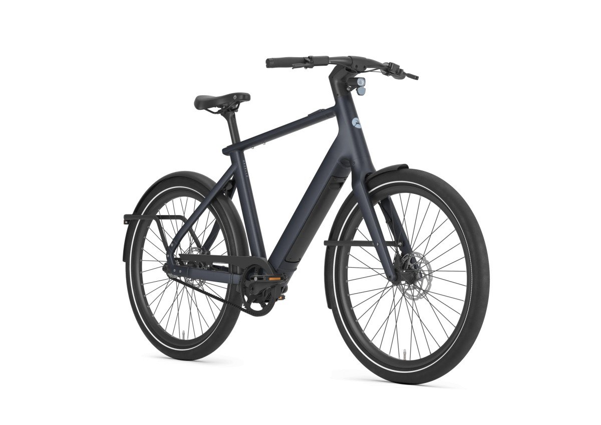 Gazelle Cayo C1 Graphite Blue Mat HEREN - Afbeelding 3