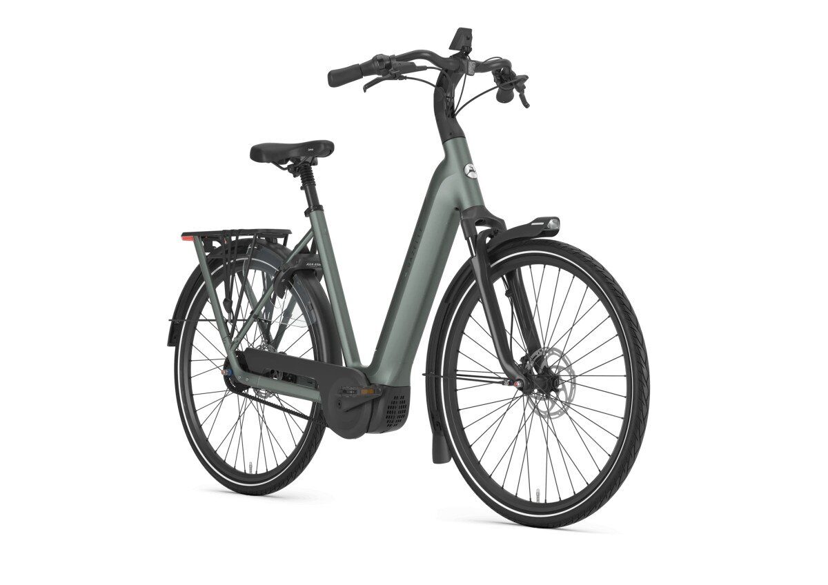 Gazelle Grenoble C5+ First Edition Twilight Green Mat Dames - Afbeelding 2