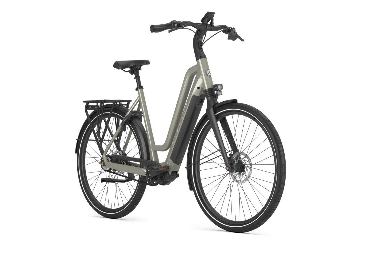 Gazelle Chamonix C5 Clay Green Glans DAMES